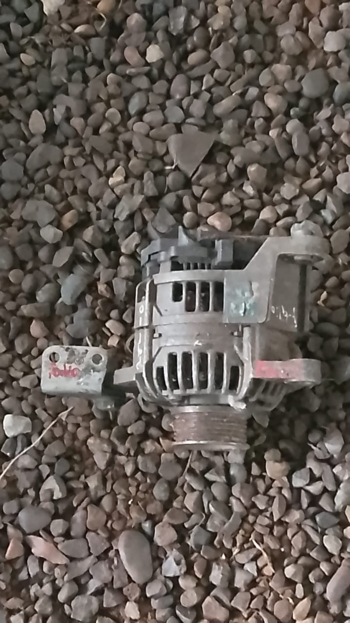 Alternador palio