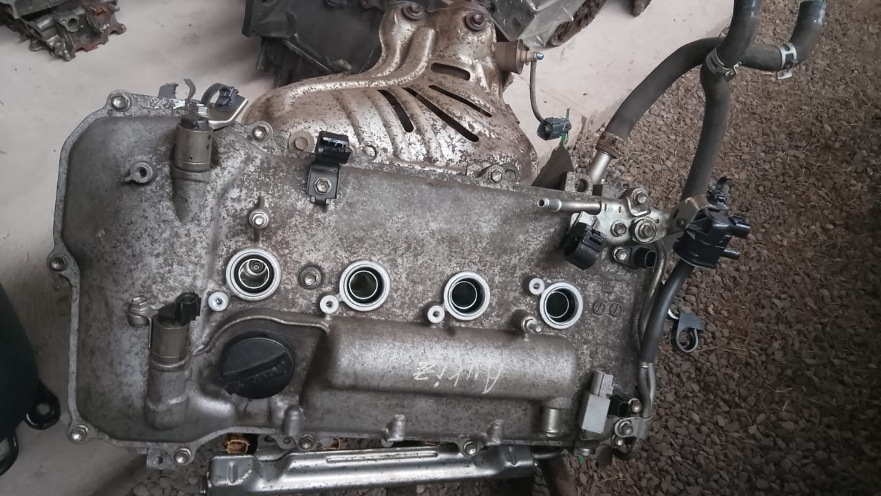 Motor auris